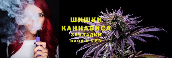 дурь Алзамай