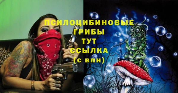 бутират Алексин