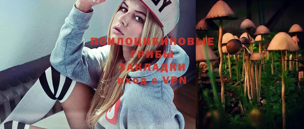 спиды Алексеевка