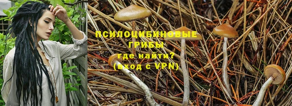 спиды Алексеевка