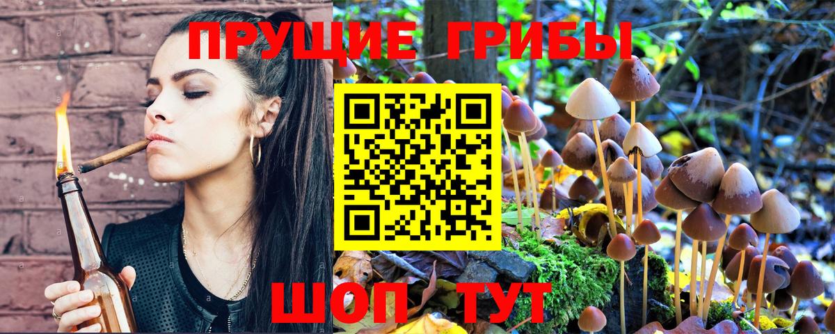 Мегион  Псилоцибиновые грибы Magic Shrooms  Вход с VPN  Псилоцибиновые грибы мухоморы 